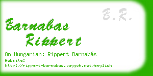 barnabas rippert business card
